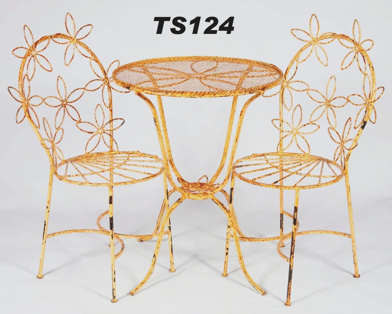 DAISY TABLE WITH 2 CHAIRS decorative plants  