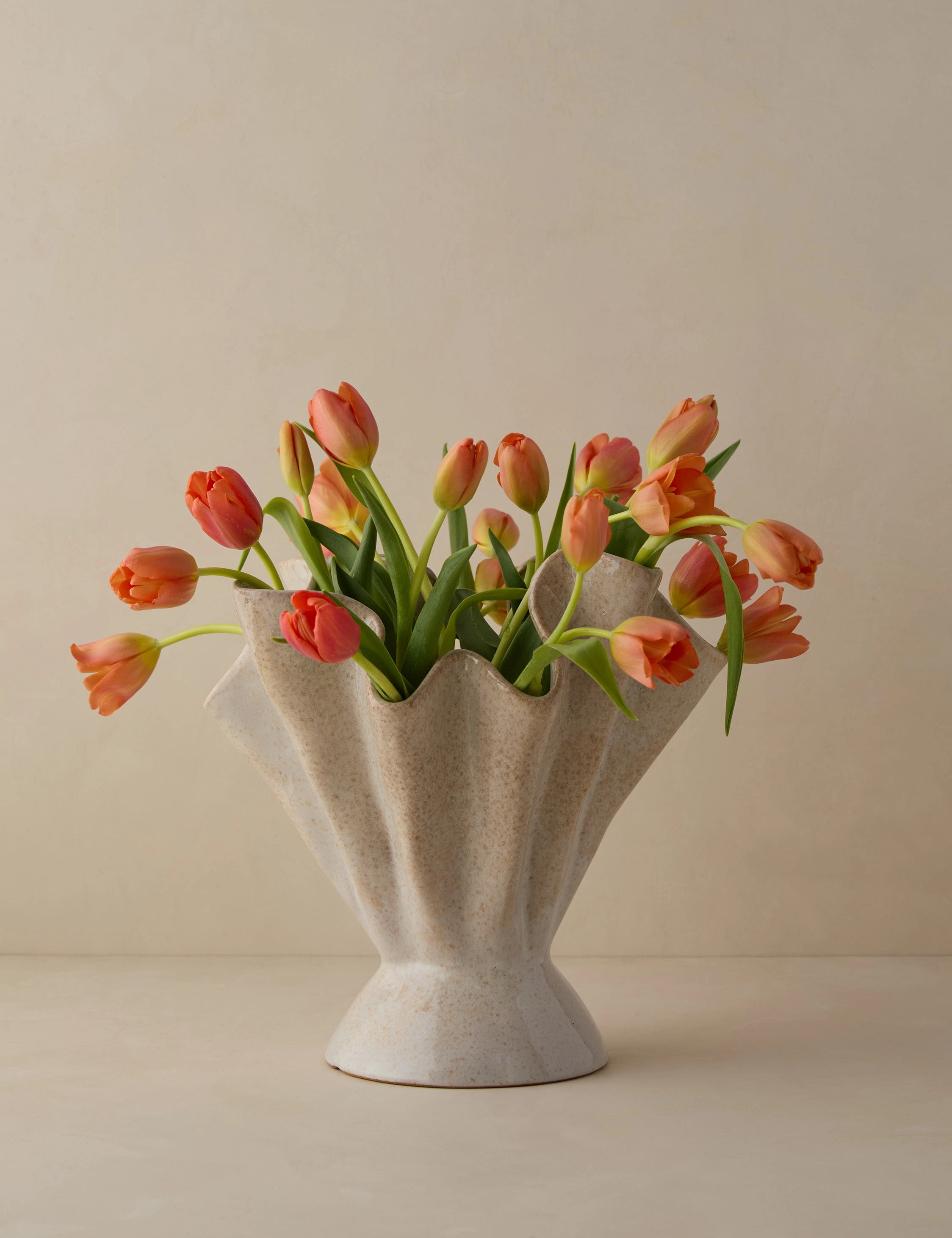 Darcia Vase mini ornamental plant  