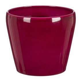 Dark Pink Indoor Ceramic Cover Pot Pure Rubin (800) tall green plant  