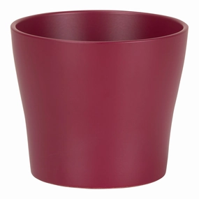 Dark Pink Indoor Ceramic Pot Burgundy (808) tall green plant  