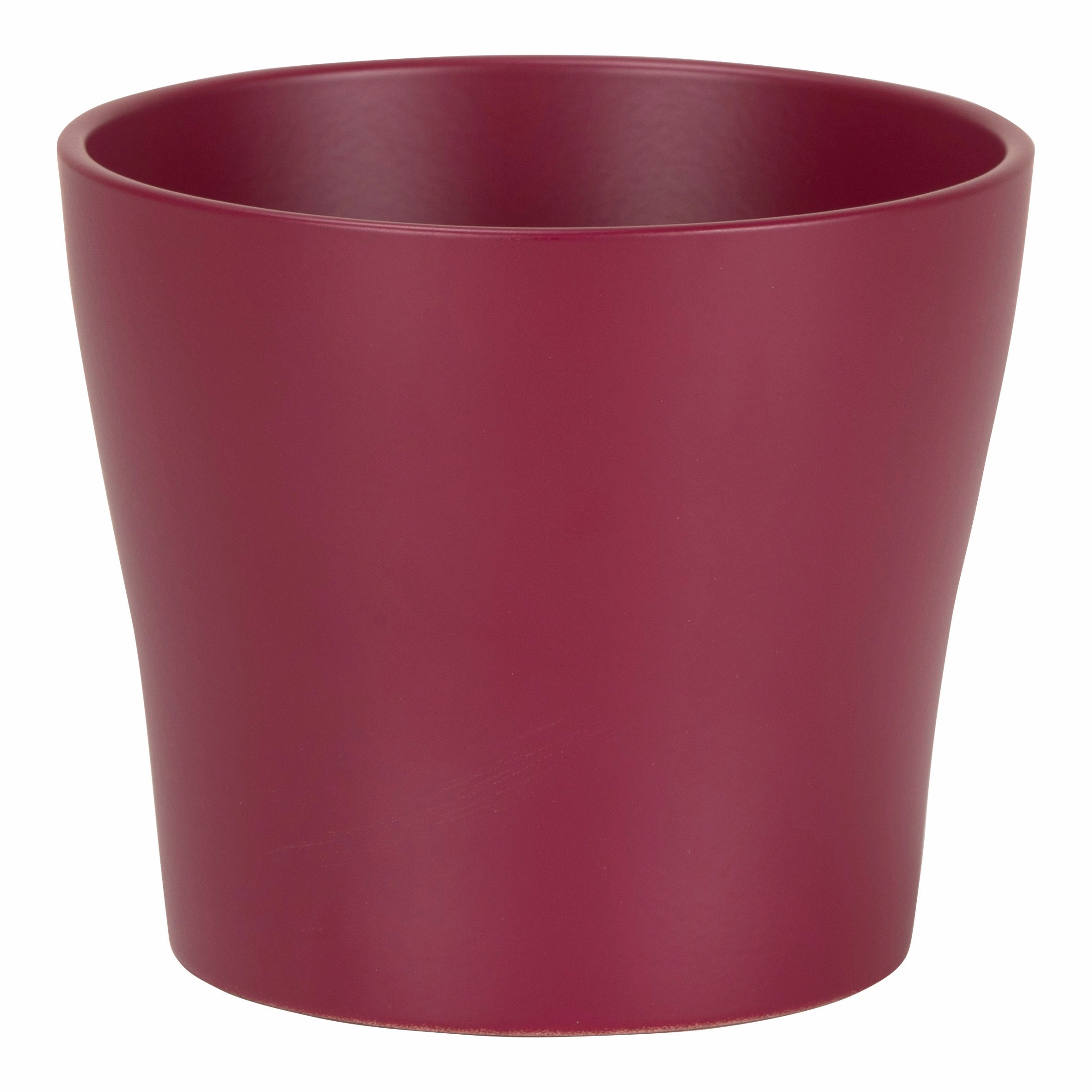 Dark Pink Indoor Ceramic Pot Burgundy (808) tall green plant  