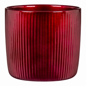 Dark Red Indoor Ceramic Cover Pot Brilliant Bordeaux (909) tall green plant  