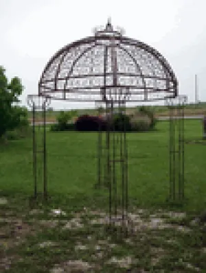Decorative Gazebo decorative plants  