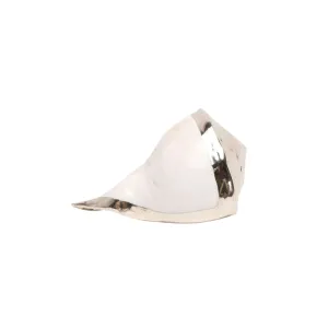 Decorative Silver Whelk Shells dried flowers  