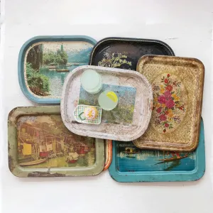 Decorative Vintage Metal Tray dried flowers  