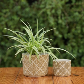 Decorative Flower Pot with Vintage Daisy Design desktop planter  