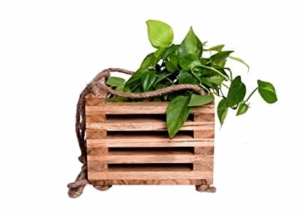 Decorative Wooden Hanging Planter (23 X 23 X 77 cm)