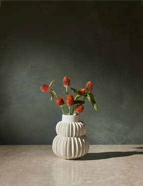 Delilah Vase mini ornamental plant  