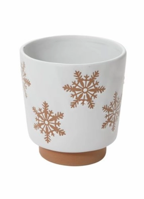 Demetria Pot-5.25" plant seeds  