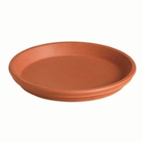 Deroma 14.2" Terracotta Saucer plant seeds  