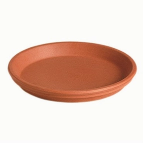 Deroma 9.8" Terracotta Saucer plant seeds  