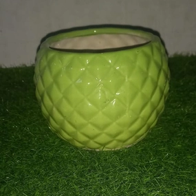 Diamond Ball Ceramic Pot shade perennial  