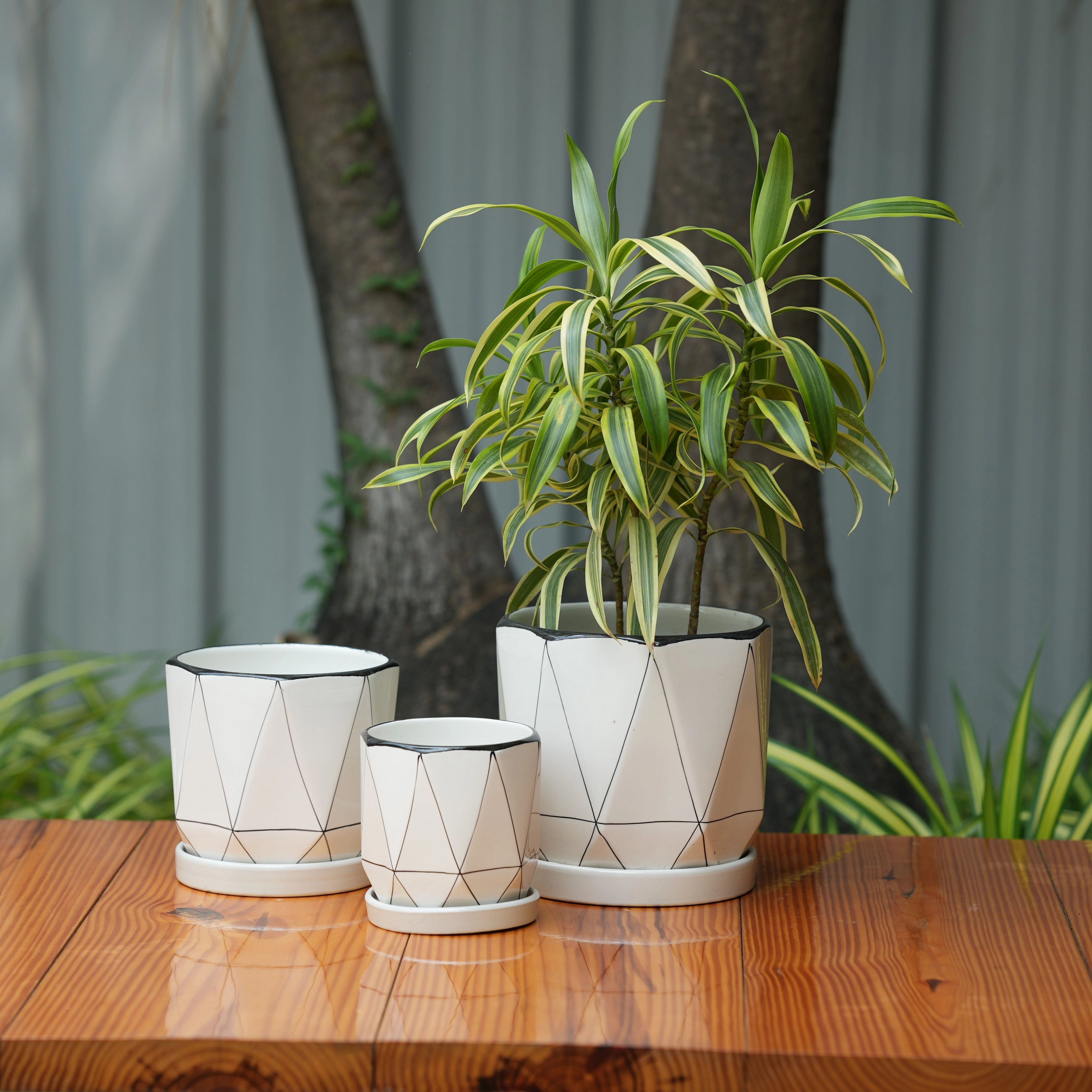 Diomond Cut Criss Cross line Design Ceramic Planter With Tray desktop planter  