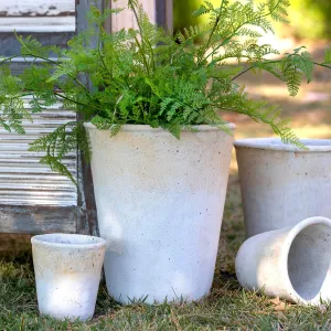 Distressed Concrete Tall Large Planter dried flowers  