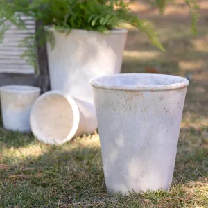 Distressed Concrete Tall Medium Planter dried flowers  