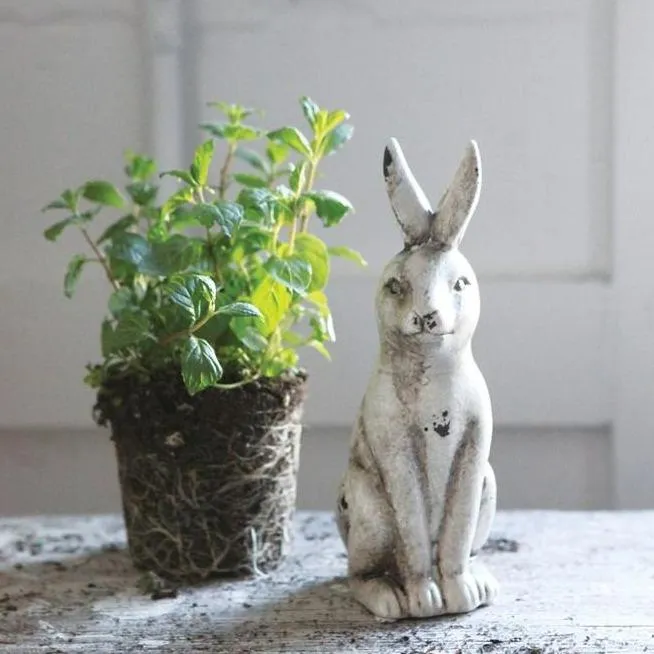 Distressed Cream Ceramic Rabbit dried flowers  