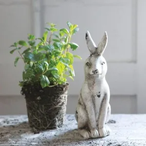 Distressed Cream Ceramic Rabbit dried flowers  