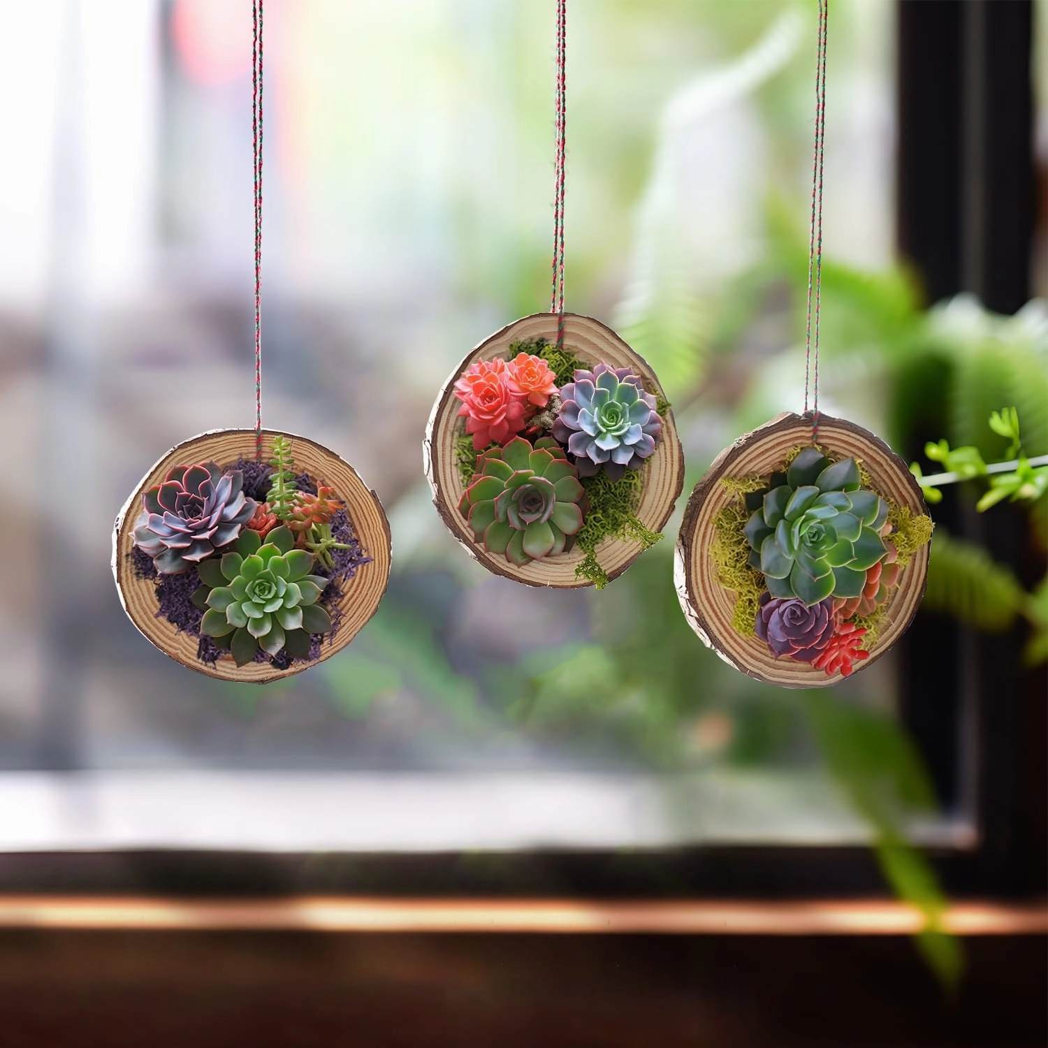 DIY Succulent Ornaments Wood Slices Set