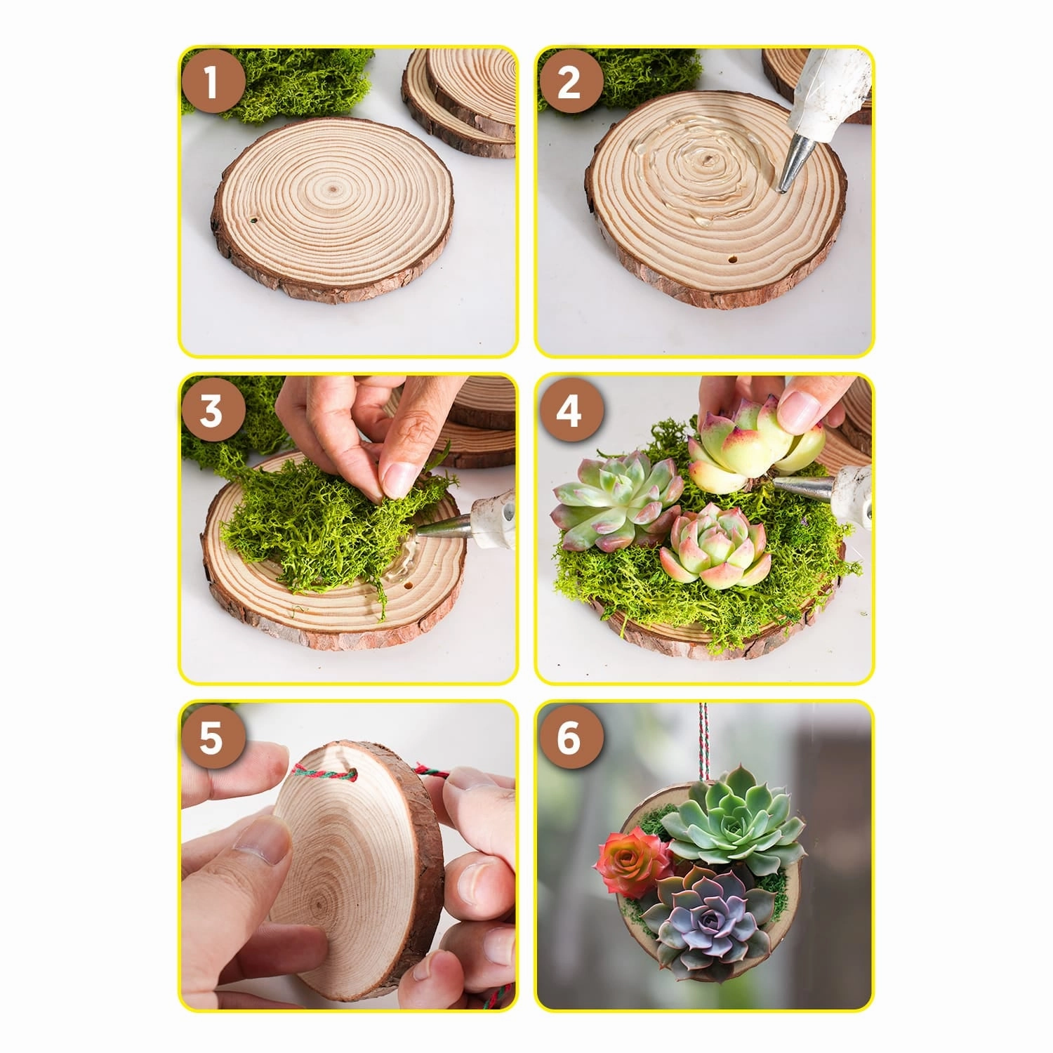DIY Succulent Ornaments Wood Slices Set