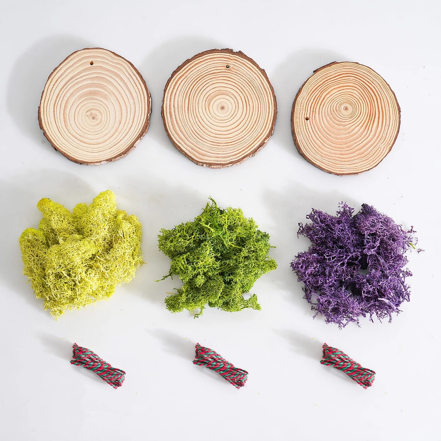 DIY Succulent Ornaments Wood Slices Set