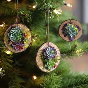 DIY Succulent Ornaments Wood Slices Set mini ornamental plant  
