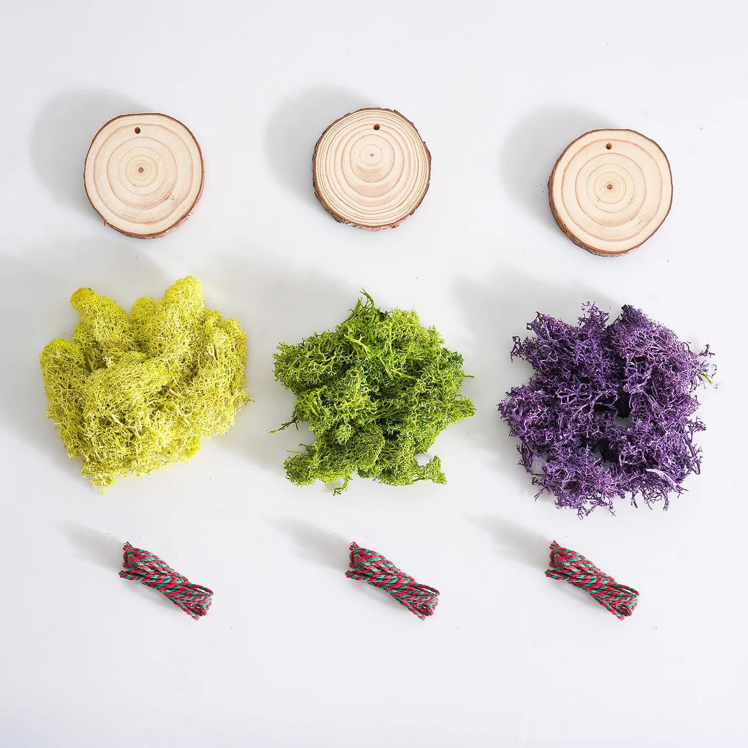 DIY Succulent Ornaments Wood Slices Set