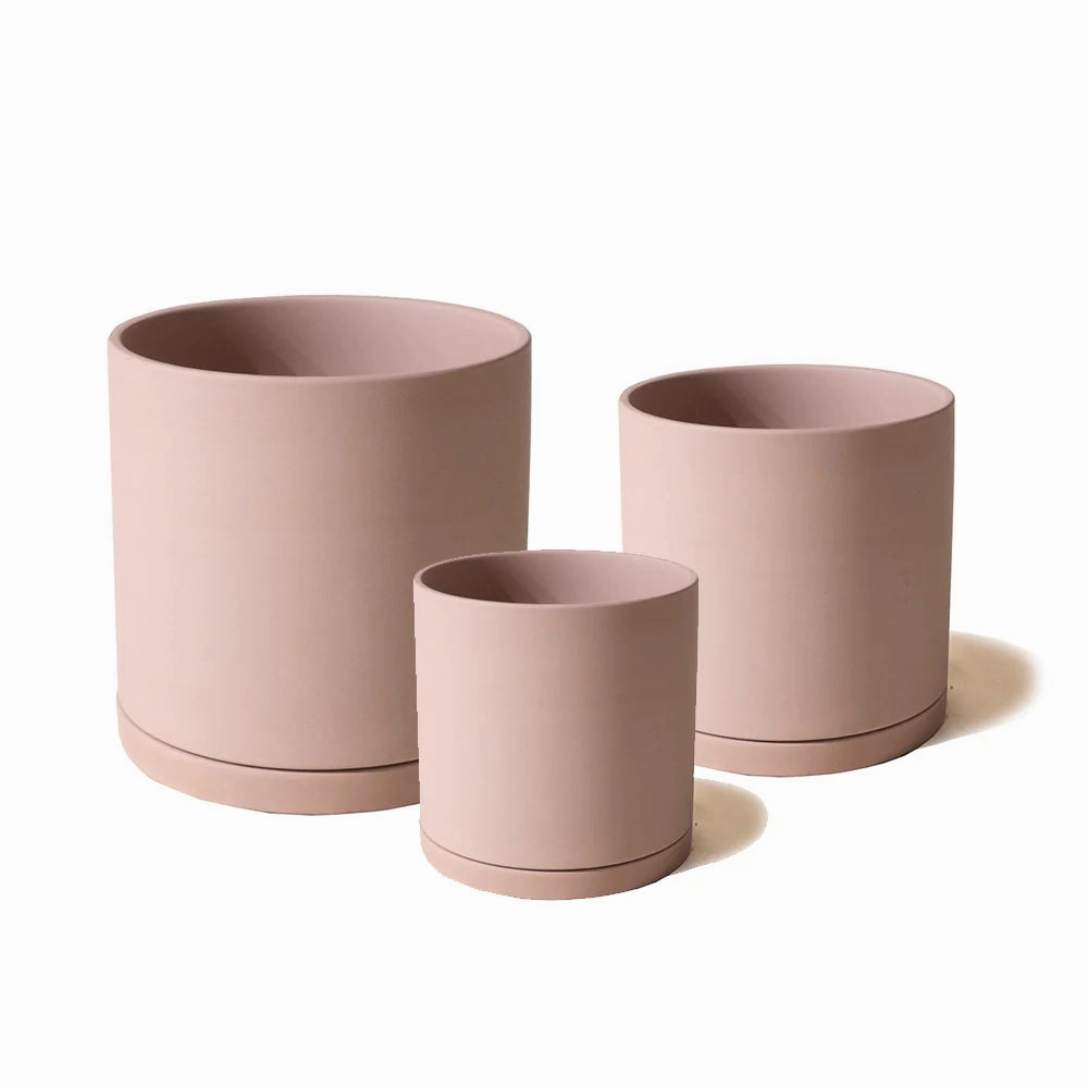Dojo Pot and Saucer