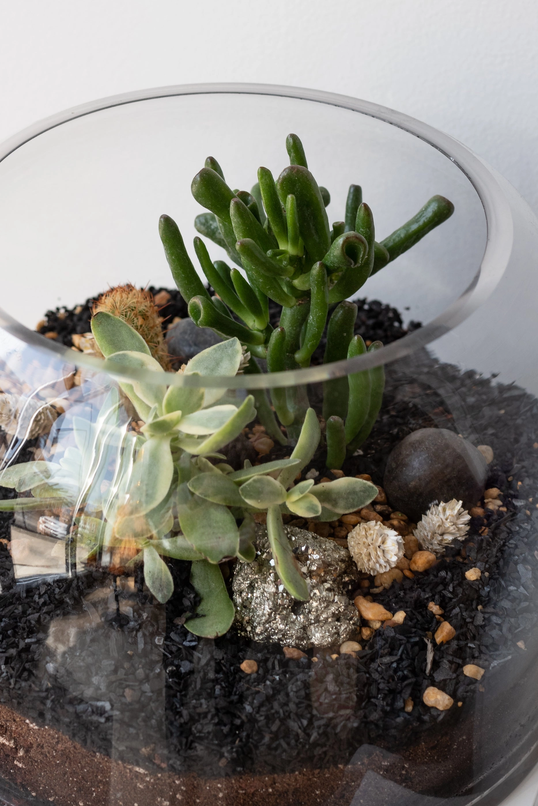 Dome Planted Terrarium Short