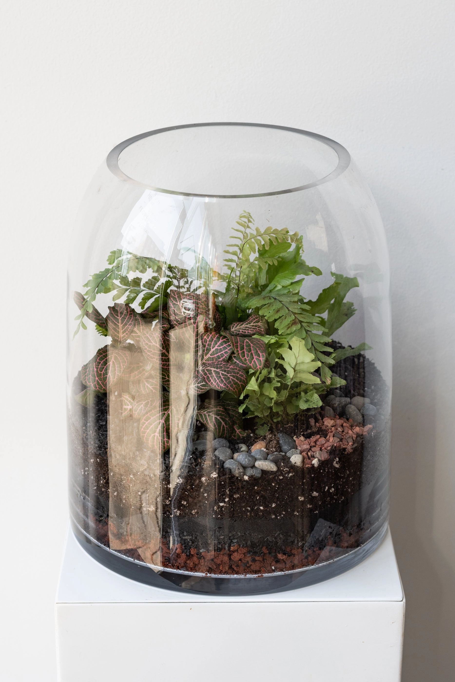 Dome Planted Terrarium Tall