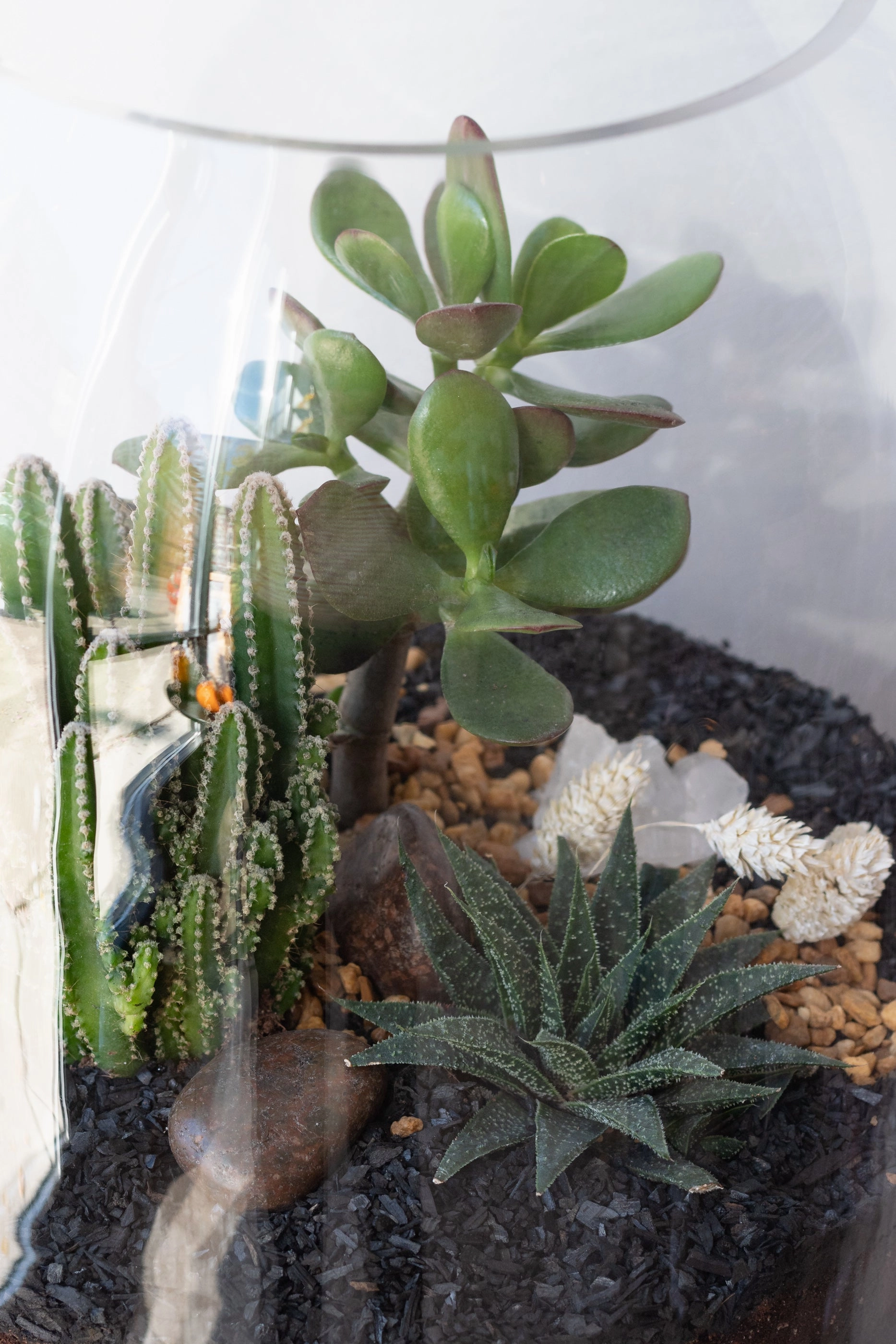 Dome Planted Terrarium Tall