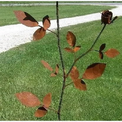 Double Giant Rose