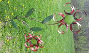 Double Ribbon Flower decorative plants  