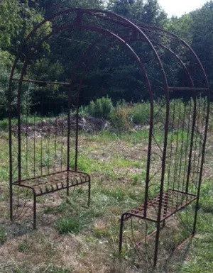 DOUBLE SEATED TUBE ARCH decorative plants  