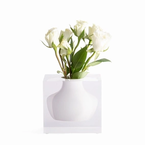 Doyers - Bud Vase Hamptons White mini ornamental plant  