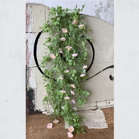 Draping Pink Primrose xl flower pot  