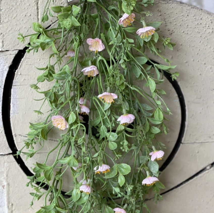Draping Pink Primrose