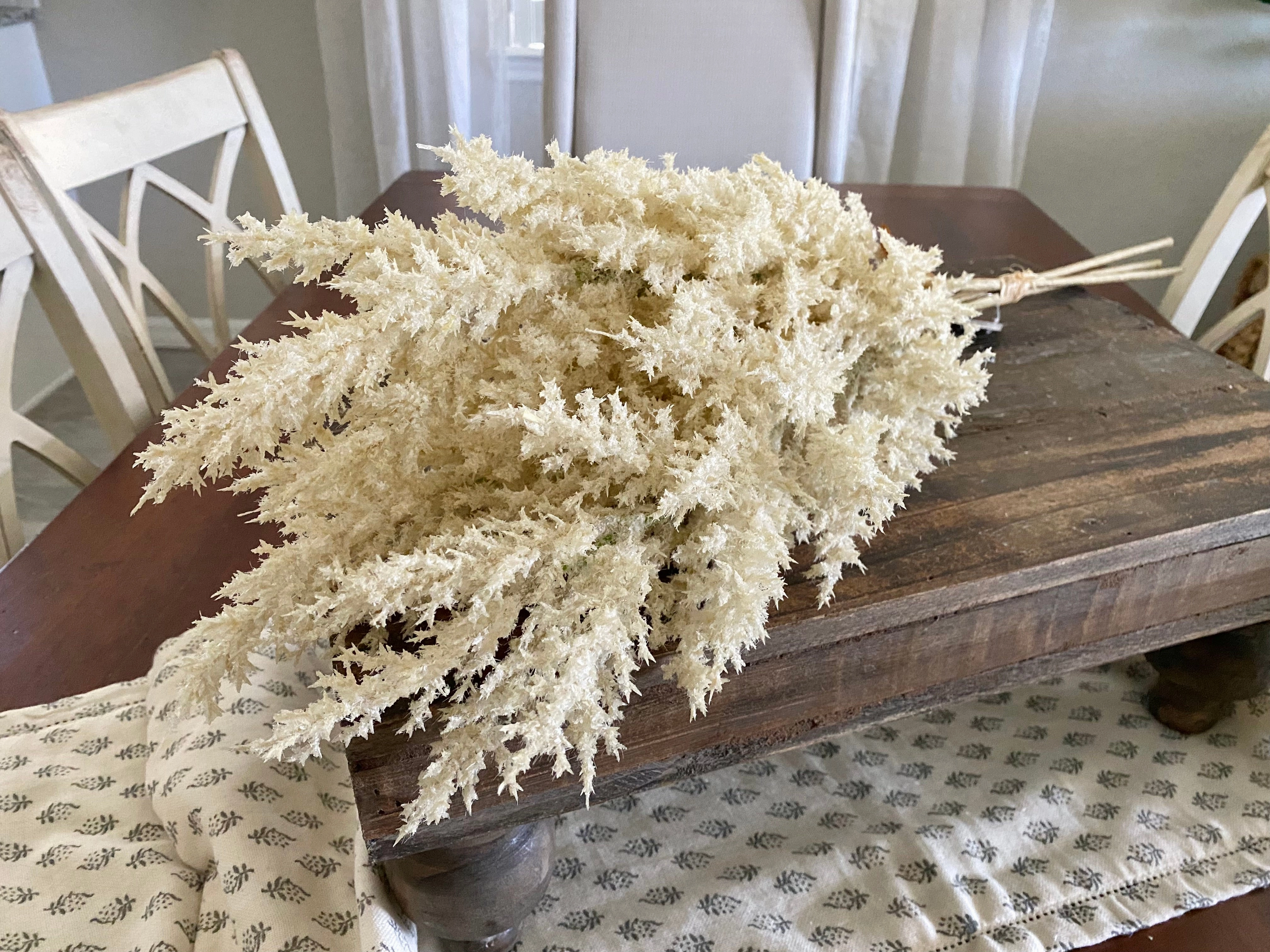 Dried Pampas Grass Bundle