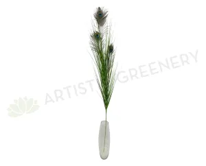 DS0001 Peacock Feather 125cm dried green plant  