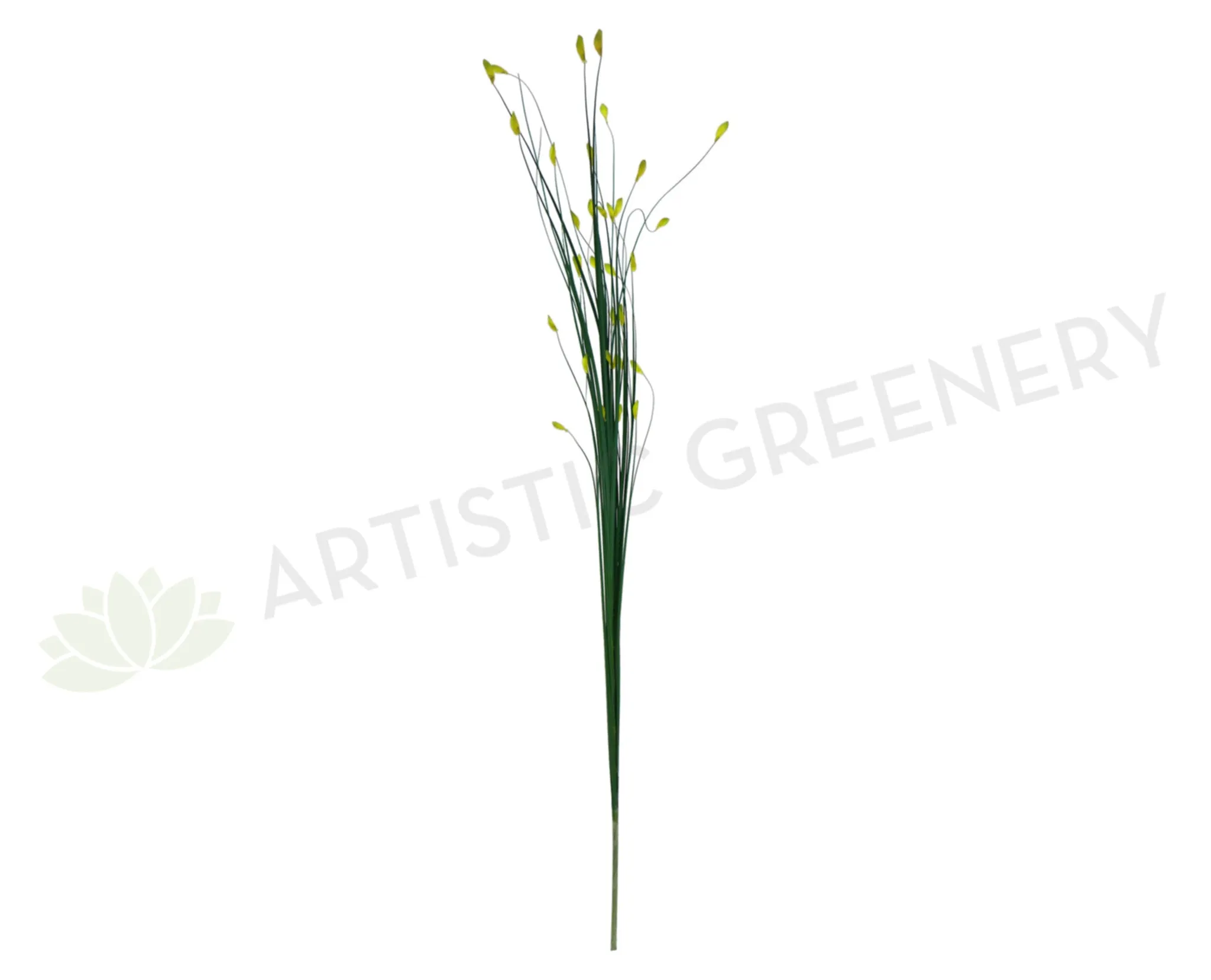 DS0002GRE Decorative Sticks 180cm Green (Yellow Tips) dried green plant  