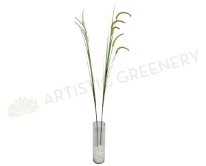 DS0004 Foxtail Weed Grass 180cm 2 Styles dried green plant  