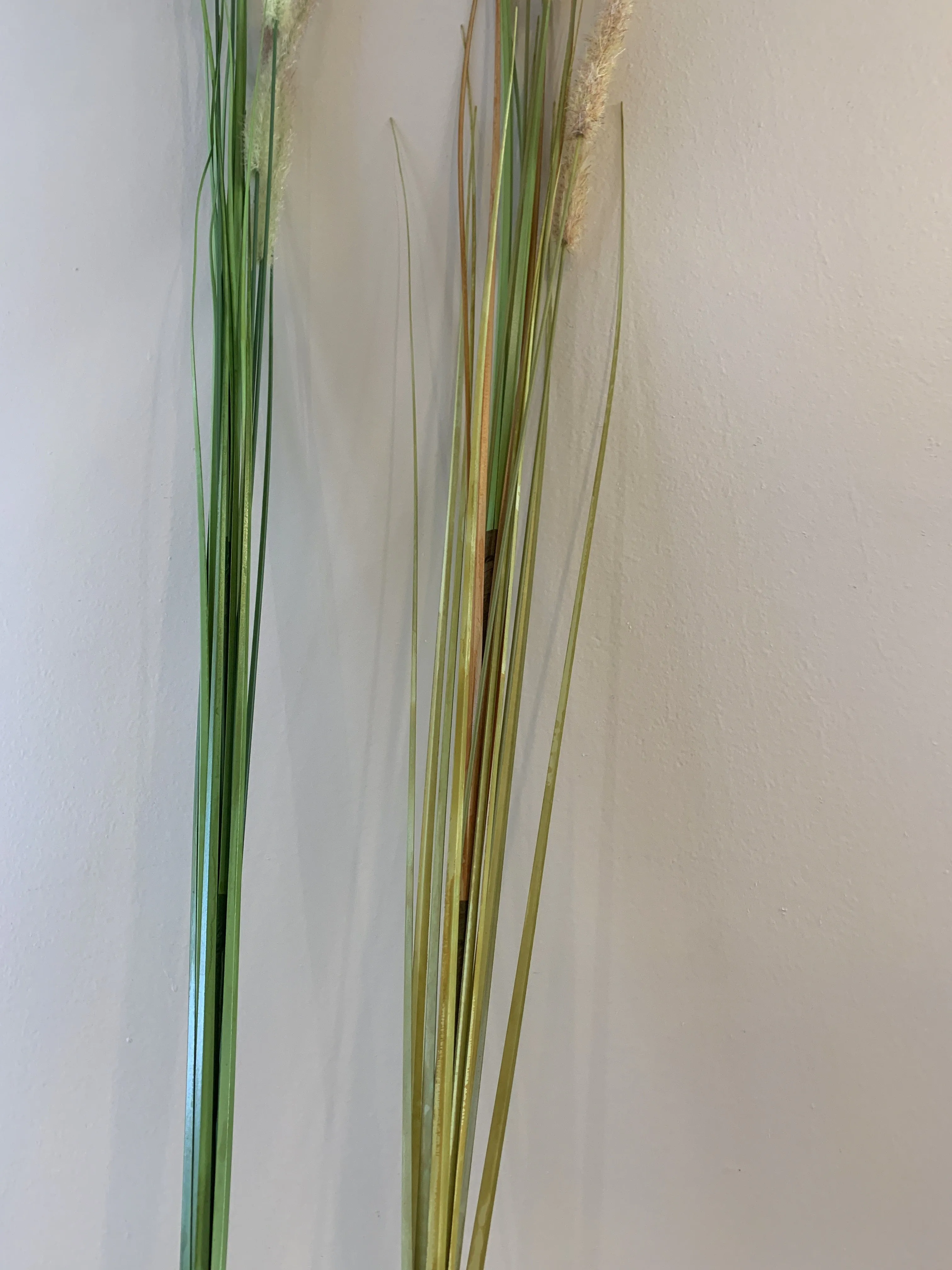 DS0004 Foxtail Weed Grass 180cm 2 Styles