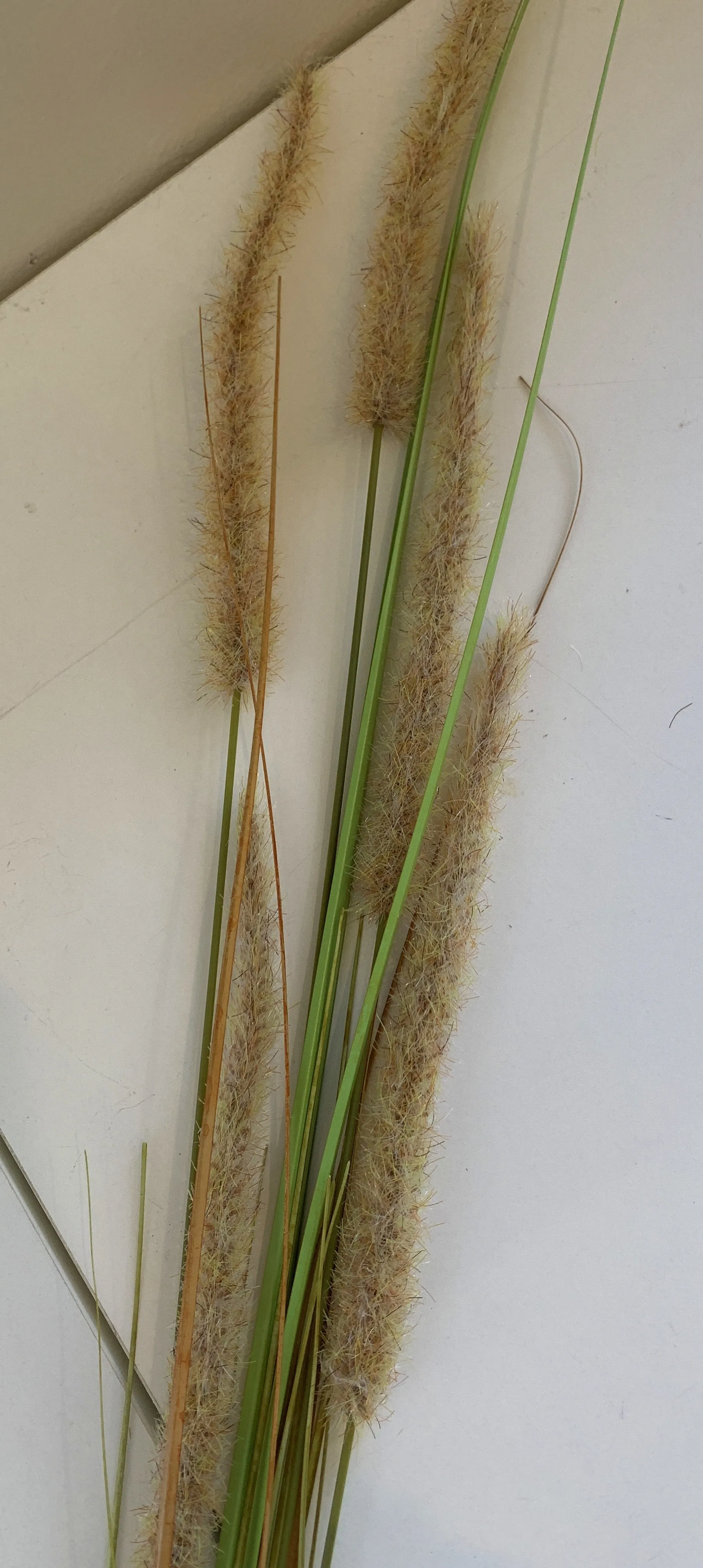 DS0004 Foxtail Weed Grass 180cm 2 Styles