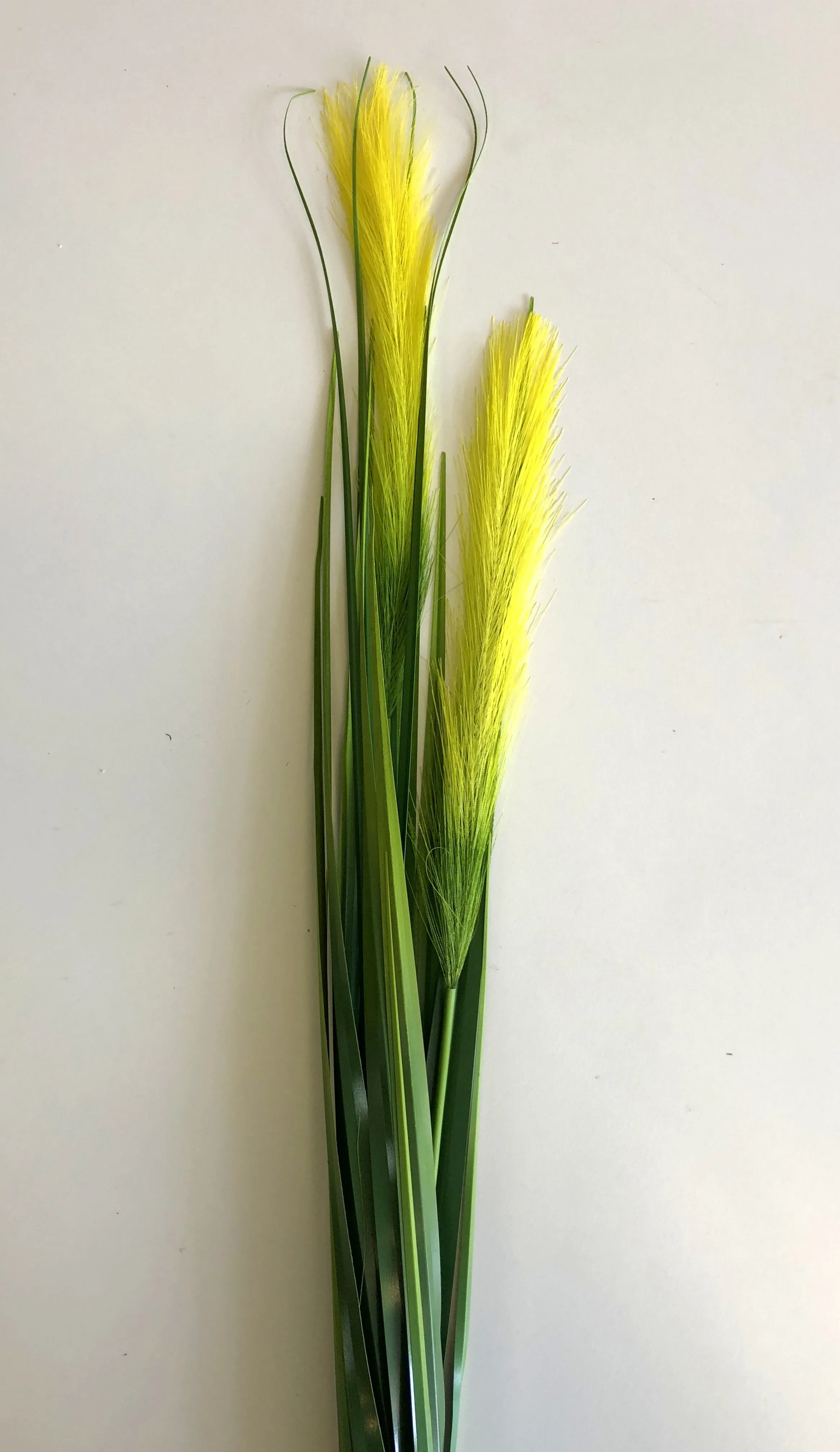DS0018 Prairie Foxtail / Pampas Grass 124cm