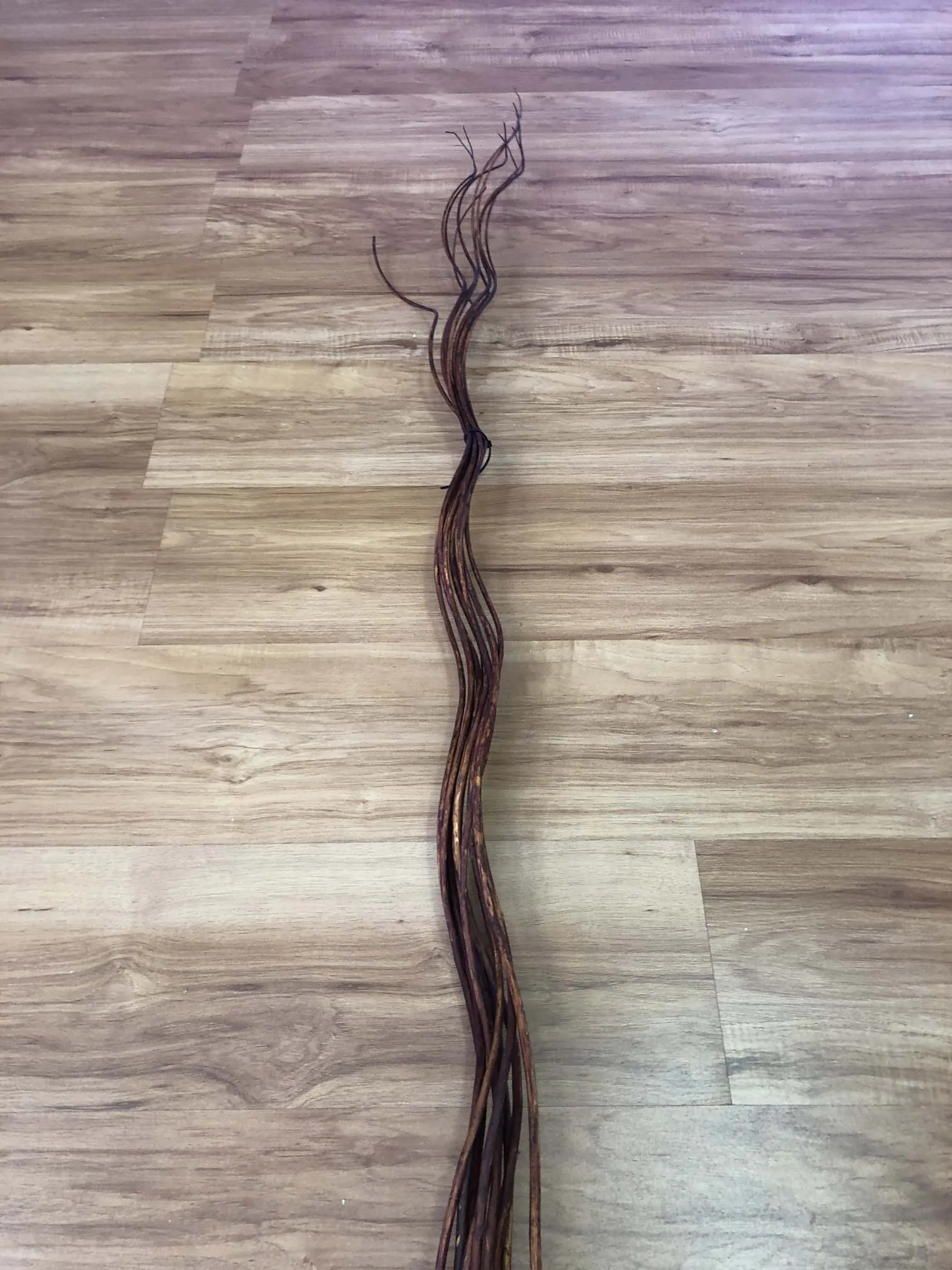 DS0022 Curly Willow Stick / Decorative Sticks 180cm 4 Colours