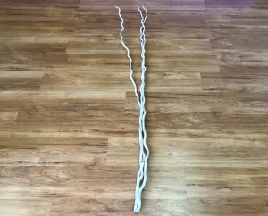 DS0023 Willow Stick (Thick) 175cm White dried green plant  