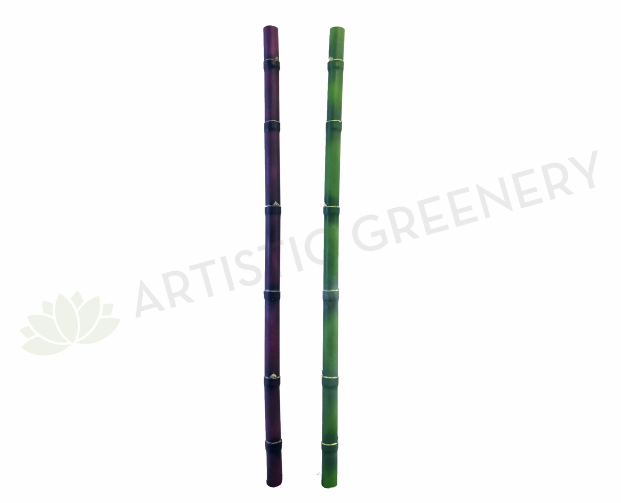 DS0024 Bamboo Stick 127cm Eggplant / Green xl flower pot  