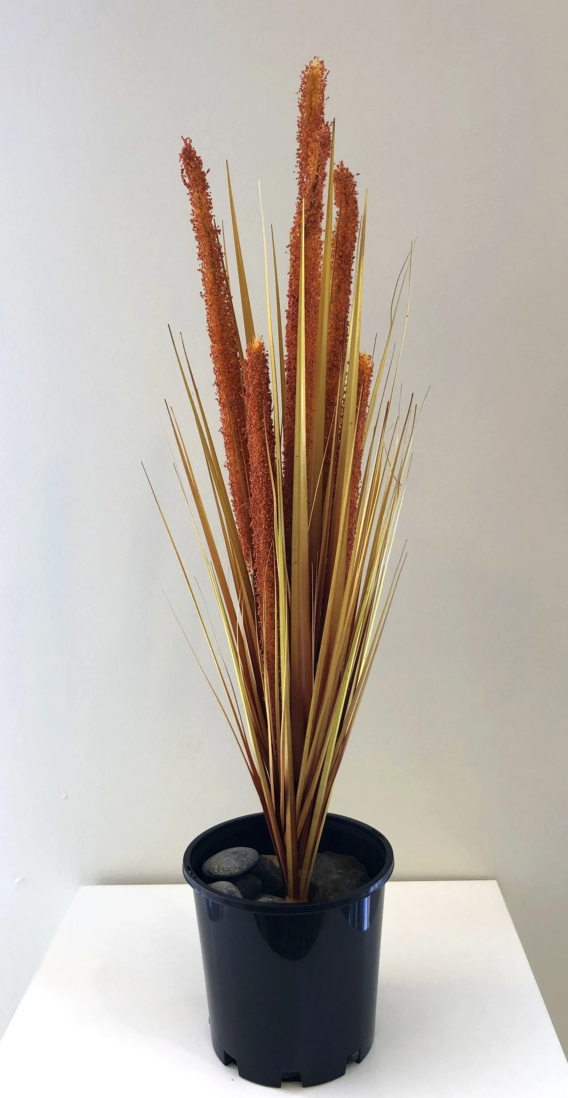 DS0026 Wild Grass Bunch / Wheat Bunch 61-93cm 4 Styles Orange