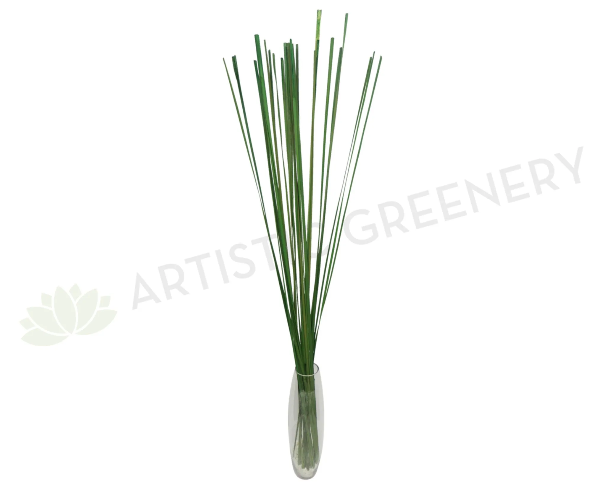 DS0027 Grass Bunch 125cm Green dried green plant  