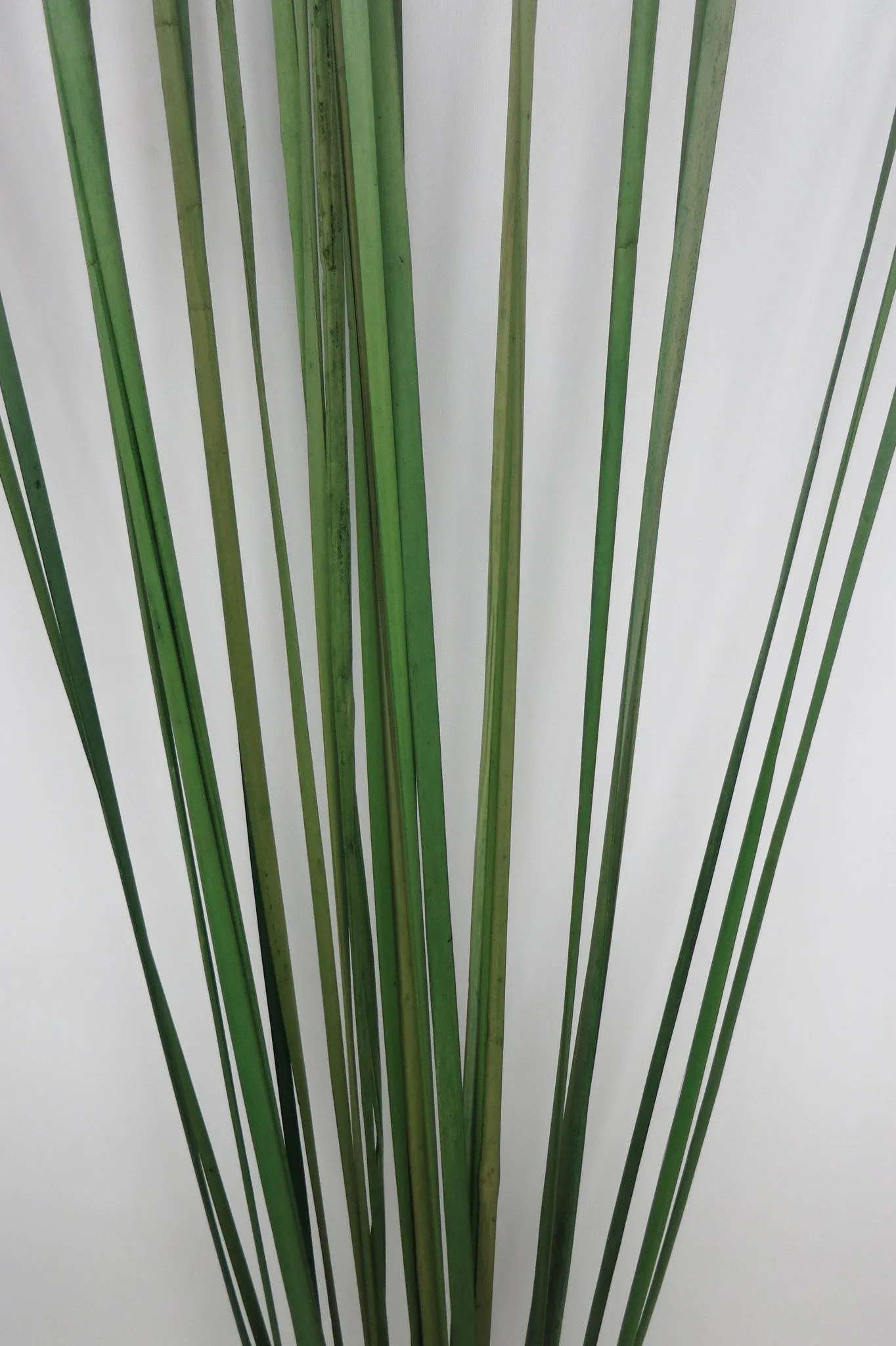 DS0027 Grass Bunch 125cm Green