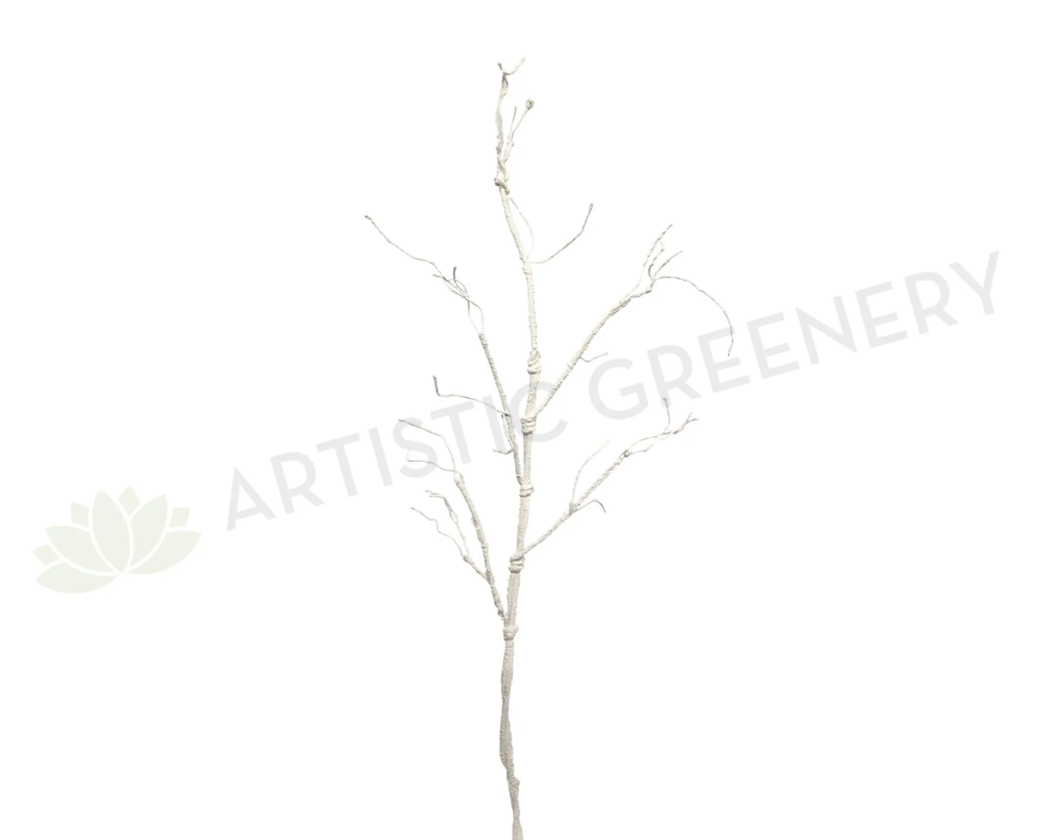 DS0033 Tree Branch 110cm (Fully Twistable) White / Green dried green plant  